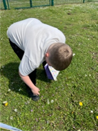 Jacob picks some buttercups for his yellows
